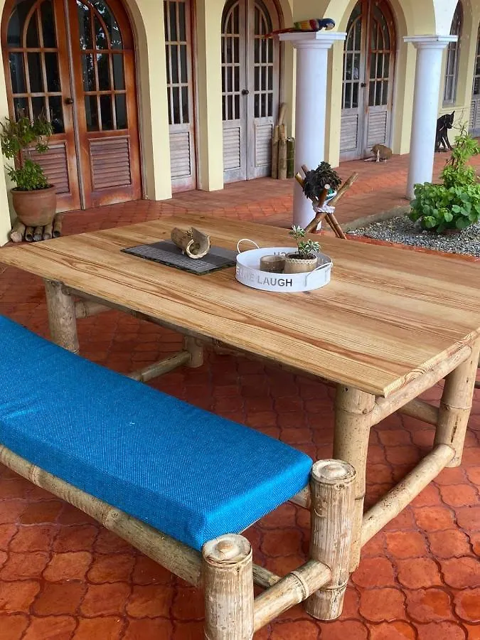 El Castillo Tropical Cabrera Homestay