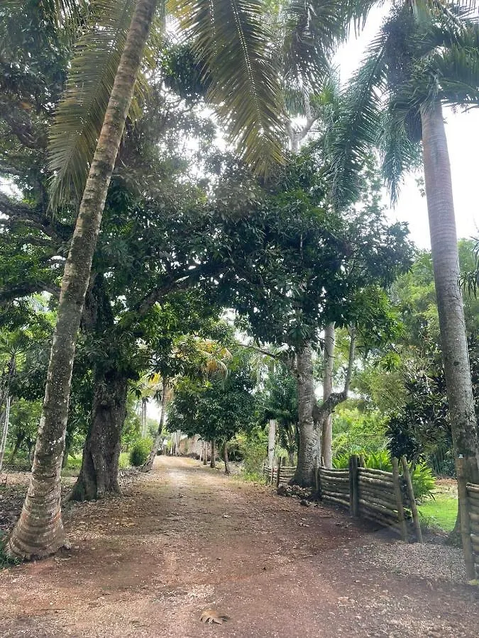 El Castillo Tropical Cabrera 0*,
